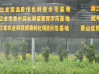 Dendrobium officinale seedlings are sprayed with water mist by an automatic water spraying facility at an agricultural park in Hangzhou, Chi...