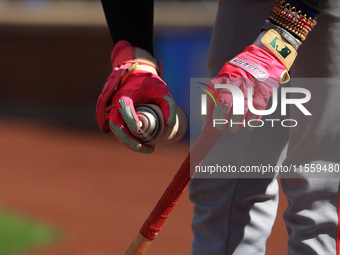 Cincinnati Reds Elly De La Cruz #44 bats during the sixth inning of the baseball game against the New York Mets at Citi Field in Corona, New...