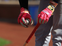 Cincinnati Reds Elly De La Cruz #44 bats during the sixth inning of the baseball game against the New York Mets at Citi Field in Corona, New...