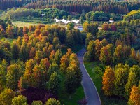 Maple leaves gradually turn red at Baima Lake Forest Park in Huai'an, China, on September 8, 2024. (