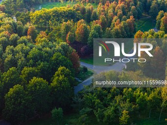 Maple leaves gradually turn red at Baima Lake Forest Park in Huai'an, China, on September 8, 2024. (