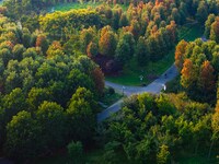 Maple leaves gradually turn red at Baima Lake Forest Park in Huai'an, China, on September 8, 2024. (