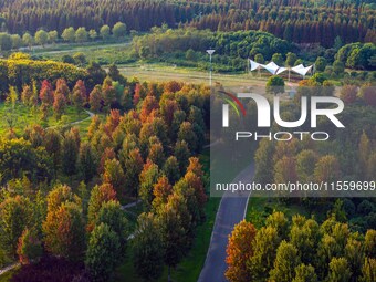 Maple leaves gradually turn red at Baima Lake Forest Park in Huai'an, China, on September 8, 2024. (