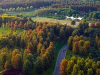 Maple leaves gradually turn red at Baima Lake Forest Park in Huai'an, China, on September 8, 2024. (