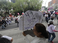 Demonstrators take part in the rally 'Great March for Mexican Democracy' against Mexican President Andres Manuel Lopez Obrador's controversi...