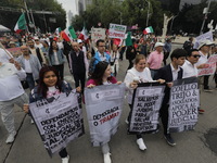 Demonstrators take part in the rally 'Great March for Mexican Democracy' against Mexican President Andres Manuel Lopez Obrador's controversi...