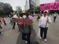 Demonstrators take part in the rally 'Great March for Mexican Democracy' against Mexican President Andres Manuel Lopez Obrador's controversi...