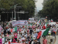 Demonstrators take part in the rally 'Great March for Mexican Democracy' against Mexican President Andres Manuel Lopez Obrador's controversi...