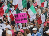 Demonstrators take part in the rally 'Great March for Mexican Democracy' against Mexican President Andres Manuel Lopez Obrador's controversi...