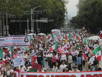 Demonstrators take part in the rally 'Great March for Mexican Democracy' against Mexican President Andres Manuel Lopez Obrador's controversi...