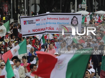 Demonstrators take part in the rally 'Great March for Mexican Democracy' against Mexican President Andres Manuel Lopez Obrador's controversi...