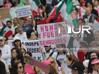 Demonstrators take part in the rally 'Great March for Mexican Democracy' against Mexican President Andres Manuel Lopez Obrador's controversi...