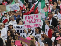 Demonstrators take part in the rally 'Great March for Mexican Democracy' against Mexican President Andres Manuel Lopez Obrador's controversi...