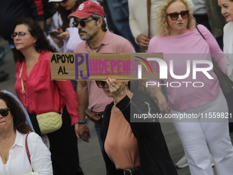 Demonstrators take part in the rally 'Great March for Mexican Democracy' against Mexican President Andres Manuel Lopez Obrador's controversi...