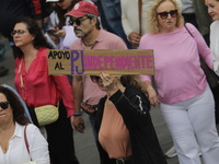 Demonstrators take part in the rally 'Great March for Mexican Democracy' against Mexican President Andres Manuel Lopez Obrador's controversi...