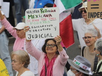 Demonstrators take part in the rally 'Great March for Mexican Democracy' against Mexican President Andres Manuel Lopez Obrador's controversi...