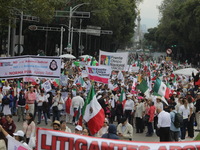 Demonstrators take part in the rally 'Great March for Mexican Democracy' against Mexican President Andres Manuel Lopez Obrador's controversi...