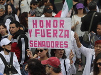 Demonstrators take part in the rally 'Great March for Mexican Democracy' against Mexican President Andres Manuel Lopez Obrador's controversi...