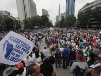 Demonstrators take part in the rally 'Great March for Mexican Democracy' against Mexican President Andres Manuel Lopez Obrador's controversi...