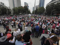 Demonstrators take part in the rally 'Great March for Mexican Democracy' against Mexican President Andres Manuel Lopez Obrador's controversi...