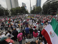 Demonstrators take part in the rally 'Great March for Mexican Democracy' against Mexican President Andres Manuel Lopez Obrador's controversi...