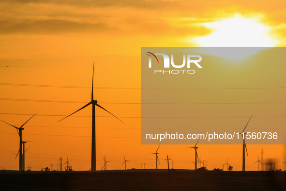 Wind power generation facilities on Zhangbei Bashang Grassland in Zhangjiakou, China, on June 28, 2013. 