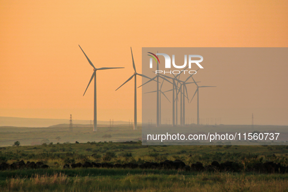 Wind power generation facilities on Zhangbei Bashang Grassland in Zhangjiakou, China, on June 28, 2013. 