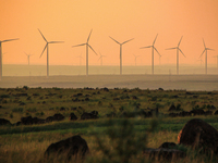 Wind power generation facilities on Zhangbei Bashang Grassland in Zhangjiakou, China, on June 28, 2013. (