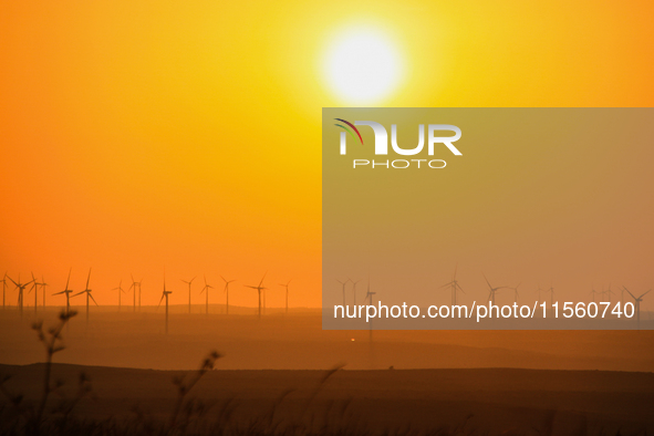 Wind power generation facilities on Zhangbei Bashang Grassland in Zhangjiakou, China, on June 28, 2013. 