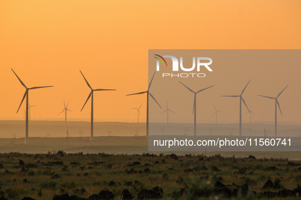 Wind power generation facilities on Zhangbei Bashang Grassland in Zhangjiakou, China, on June 28, 2013. 