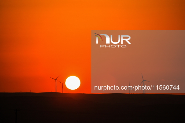 Wind power generation facilities on Zhangbei Bashang Grassland in Zhangjiakou, China, on June 28, 2013. 