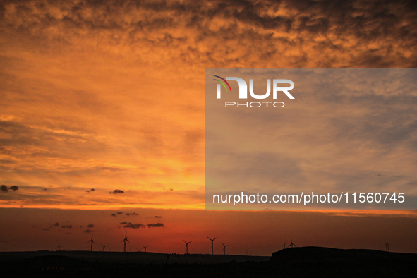 Wind power generation facilities on Zhangbei Bashang Grassland in Zhangjiakou, China, on June 28, 2013. 