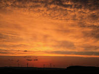 Wind power generation facilities on Zhangbei Bashang Grassland in Zhangjiakou, China, on June 28, 2013. (