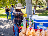 On September 2, 2024, in Banning Park, United States, 42 unions hold the 45th Annual LA Labor Day Parade, ending with a picnic in Banning Pa...