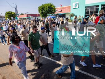 On September 2, 2024, in Banning Park, United States, 42 unions hold the 45th Annual LA Labor Day Parade, ending with a picnic in Banning Pa...