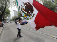 A judiciary worker waves a Mexican flag while taking part in a rally against the judicial reform proposed by current President Andres Manuel...