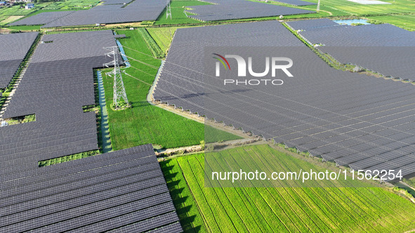 Solar photovoltaic panels are seen in Lihua Village in Lianyungang, China, on September 10, 2024. 