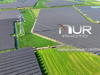 Solar photovoltaic panels are seen in Lihua Village in Lianyungang, China, on September 10, 2024. (