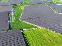 Solar photovoltaic panels are seen in Lihua Village in Lianyungang, China, on September 10, 2024. (