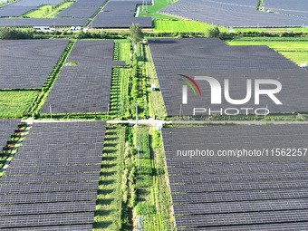 Solar photovoltaic panels are seen in Lihua Village in Lianyungang, China, on September 10, 2024. (