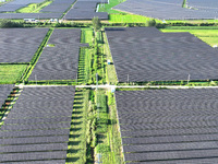 Solar photovoltaic panels are seen in Lihua Village in Lianyungang, China, on September 10, 2024. (