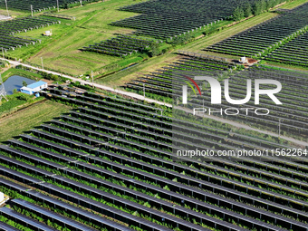 Solar photovoltaic panels are seen in Lihua Village in Lianyungang, China, on September 10, 2024. (