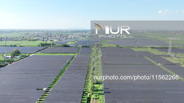 Solar photovoltaic panels are seen in Lihua Village in Lianyungang, China, on September 10, 2024. 