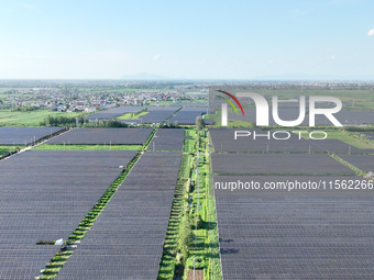 Solar photovoltaic panels are seen in Lihua Village in Lianyungang, China, on September 10, 2024. (