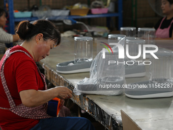 A worker assembles a pet water dispenser at a workshop in Suqian, China, on September 10, 2024. (