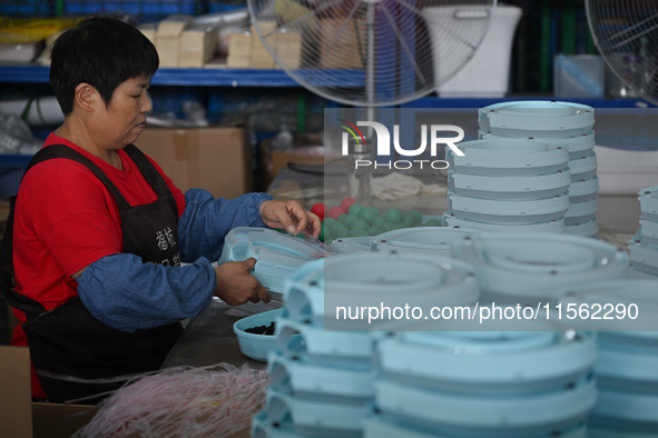 Workers assemble pet cat toys at a workshop in Suqian, Jiangsu province, China, on September 10, 2024. 