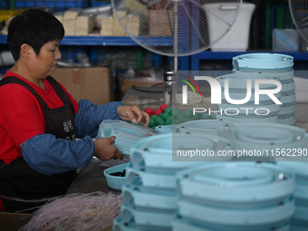 Workers assemble pet cat toys at a workshop in Suqian, Jiangsu province, China, on September 10, 2024. (