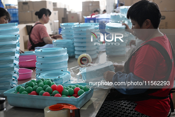 Workers assemble pet cat toys at a workshop in Suqian, Jiangsu province, China, on September 10, 2024. 