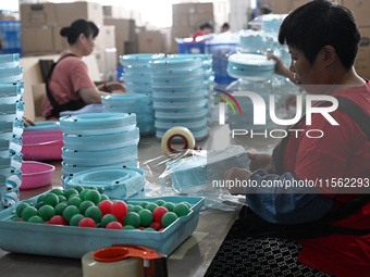 Workers assemble pet cat toys at a workshop in Suqian, Jiangsu province, China, on September 10, 2024. (