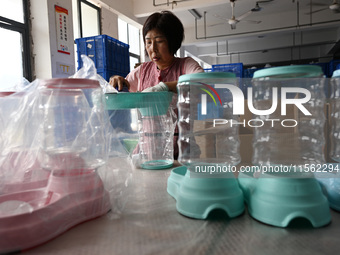 A worker assembles a pet water dispenser at a workshop in Suqian, China, on September 10, 2024. (